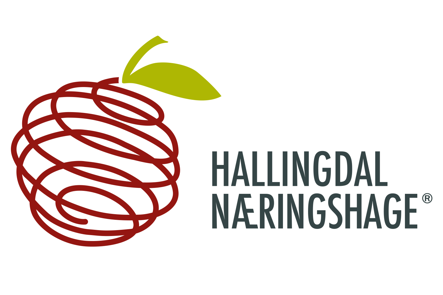 Hallingdal Næringshage Logo