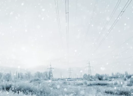 Et snødekket landskap med trær og jorder, med telekommunikasjonsmaster i bakgrunnen, og snøvær i forgrunnen.
